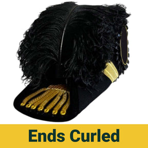 Past Grand Commander Knights Templar Chapeau - All Black Plumes - Bricks Masons